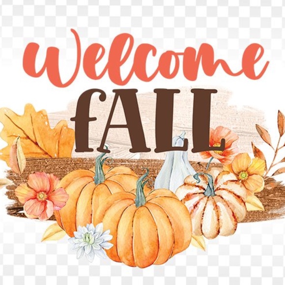 Reasonable offers welcome! Closet clean out - Picture 5 of 6